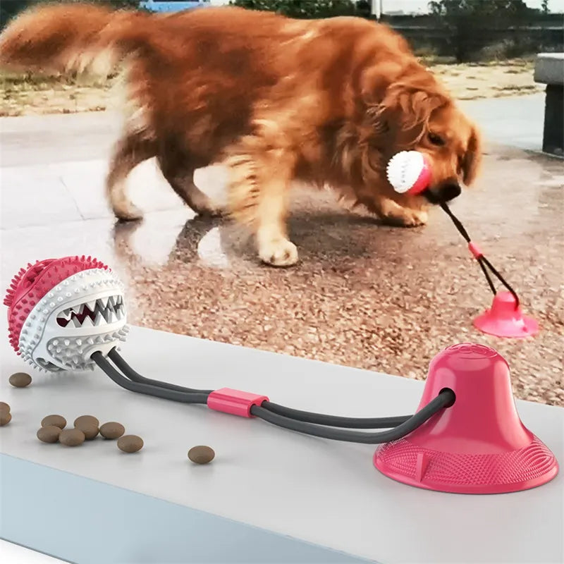 Suction ball interactive dog toy stuck to a floor