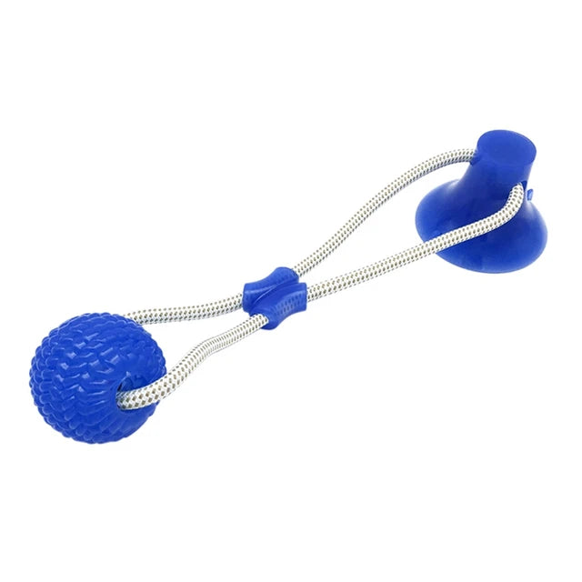 Suction ball interactive dog toy stuck to a floor