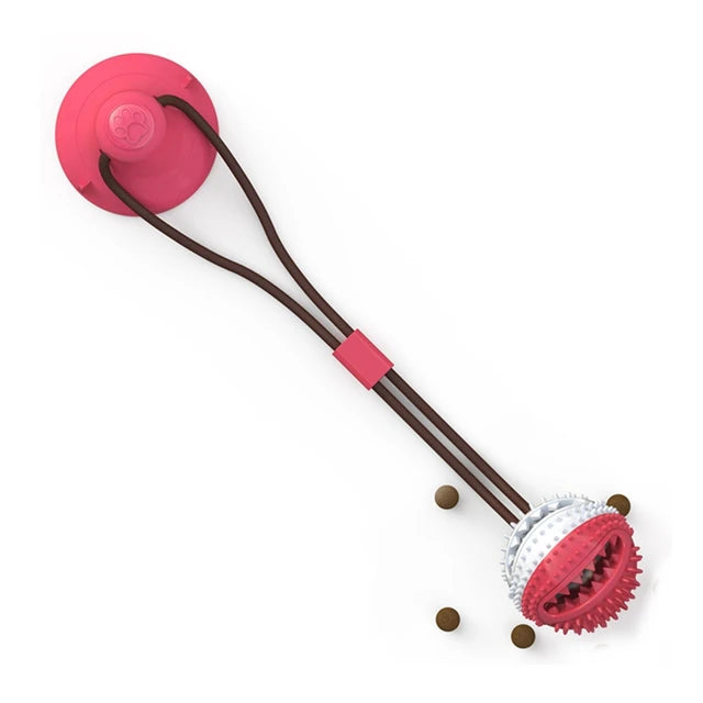 Suction ball interactive dog toy stuck to a floor