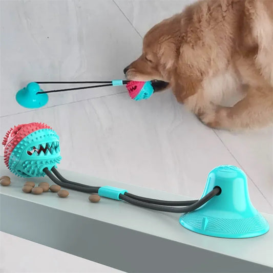 Suction ball interactive dog toy stuck to a floor