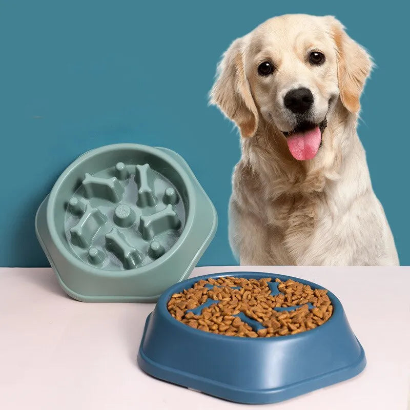 Slow feeder pet bowl with maze-style ridges