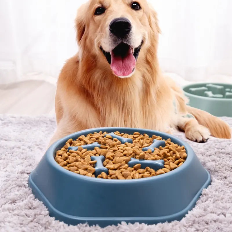 Slow feeder pet bowl with maze-style ridges