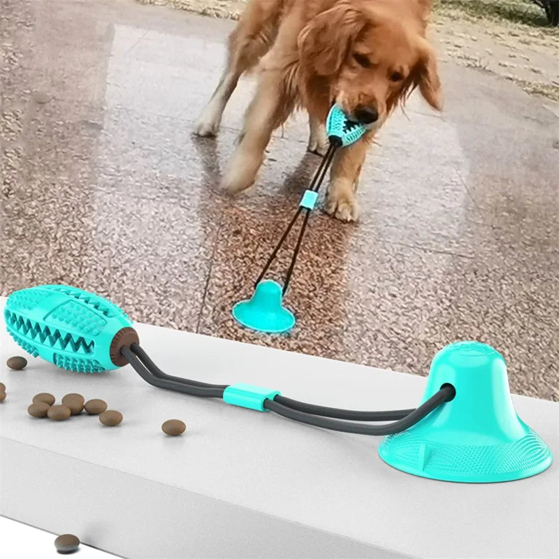Suction ball interactive dog toy stuck to a floor