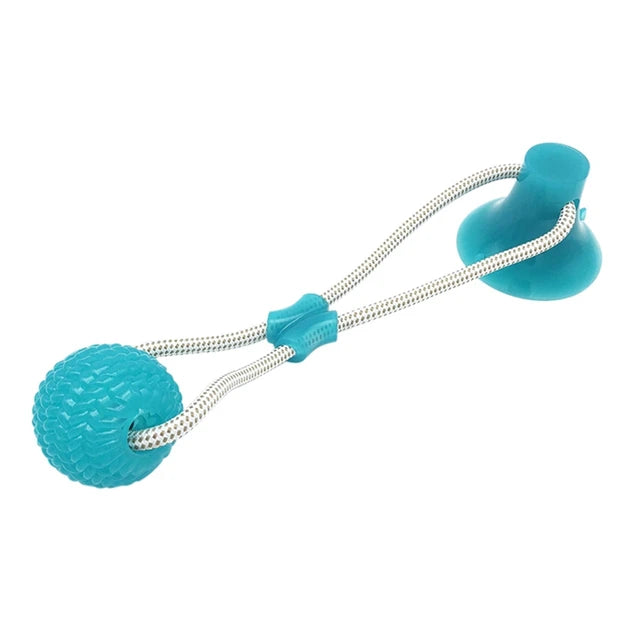 Suction ball interactive dog toy stuck to a floor