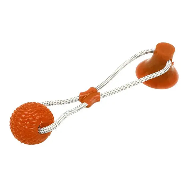 Suction ball interactive dog toy stuck to a floor