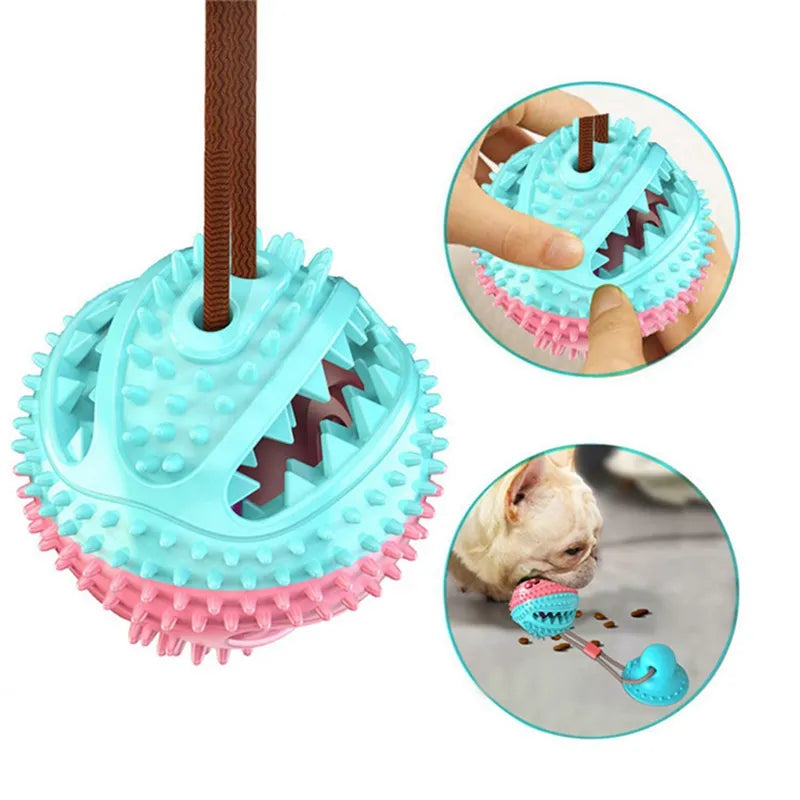 Suction ball interactive dog toy stuck to a floor