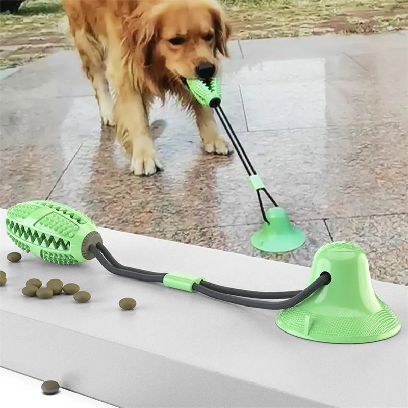 Suction ball interactive dog toy stuck to a floor