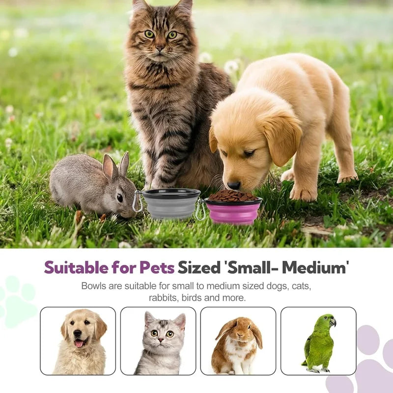 Folding Portable Silicone Dog Feeder Bowl 2 in 1 Pet Dispenser Outdoor Travel Dog Cat with Carabiner Bottle Food Water Container