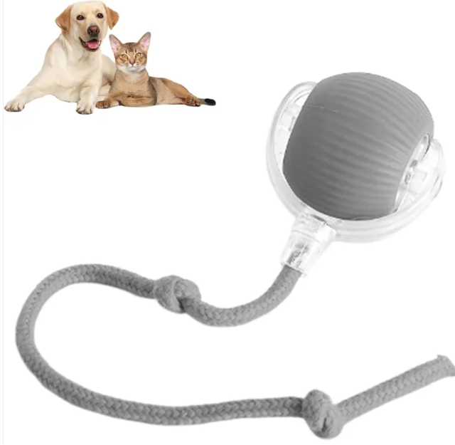 Automatic sensor rolling ball toy for pets