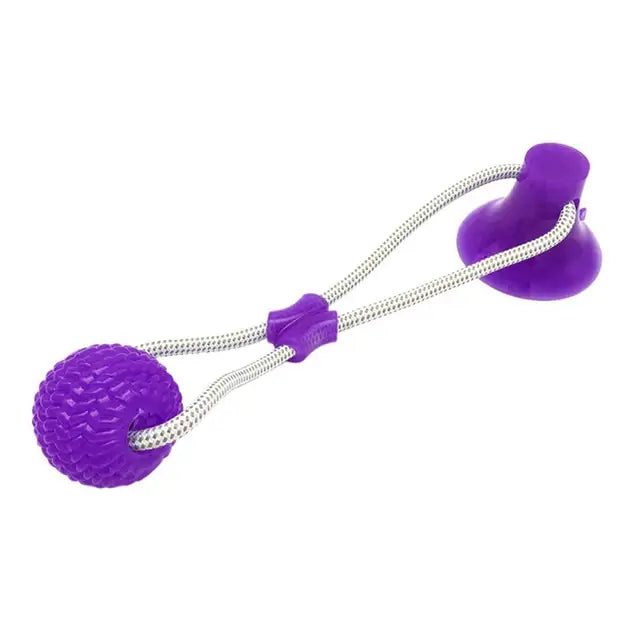 Suction ball interactive dog toy stuck to a floor